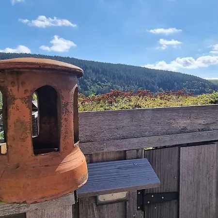 Maison Ventron, 1 Piece, 2 Personnes - Fr-1-589-474 Ventron
