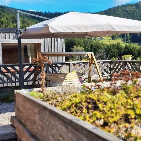 Apartman Maison Ventron, 1 Piece, 2 Personnes - Fr-1-589-474